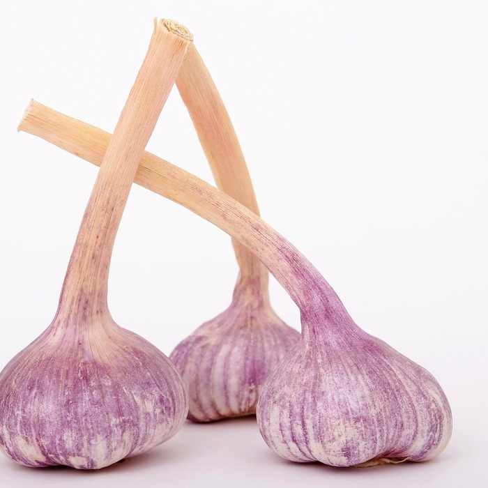 마늘 까는 방법