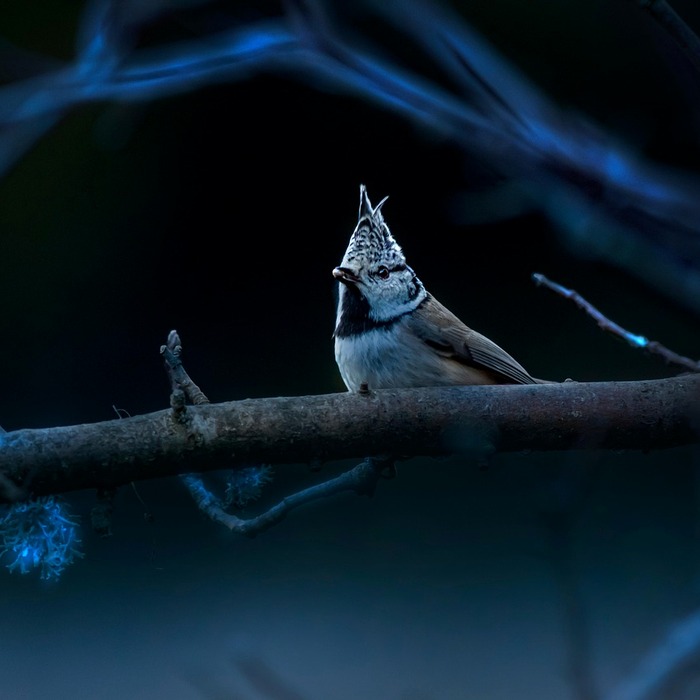 가슴 답답함 증상