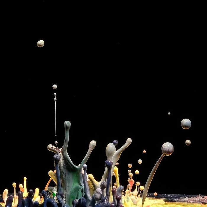 손목닥터9988 개요