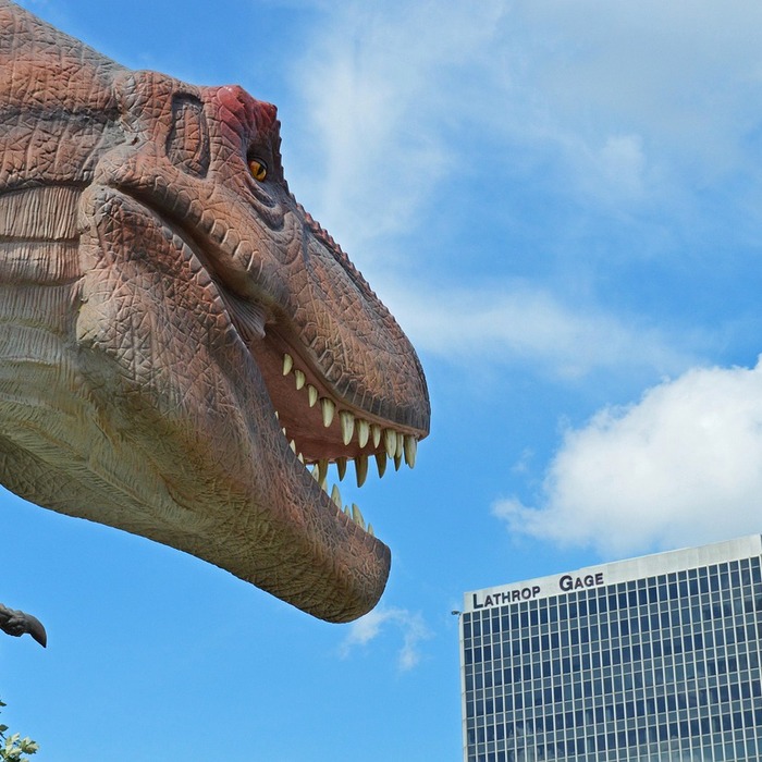 공룡 전시 공간