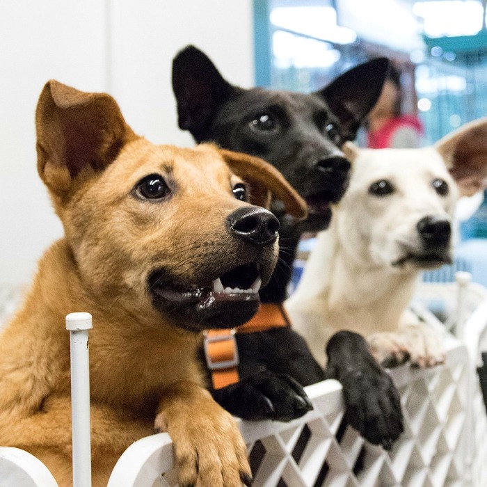 채용 절차 설명