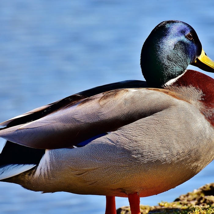 경찰공무원 시험 일정