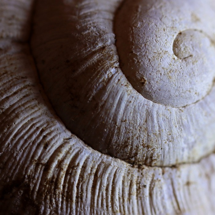 법적 제한 사항