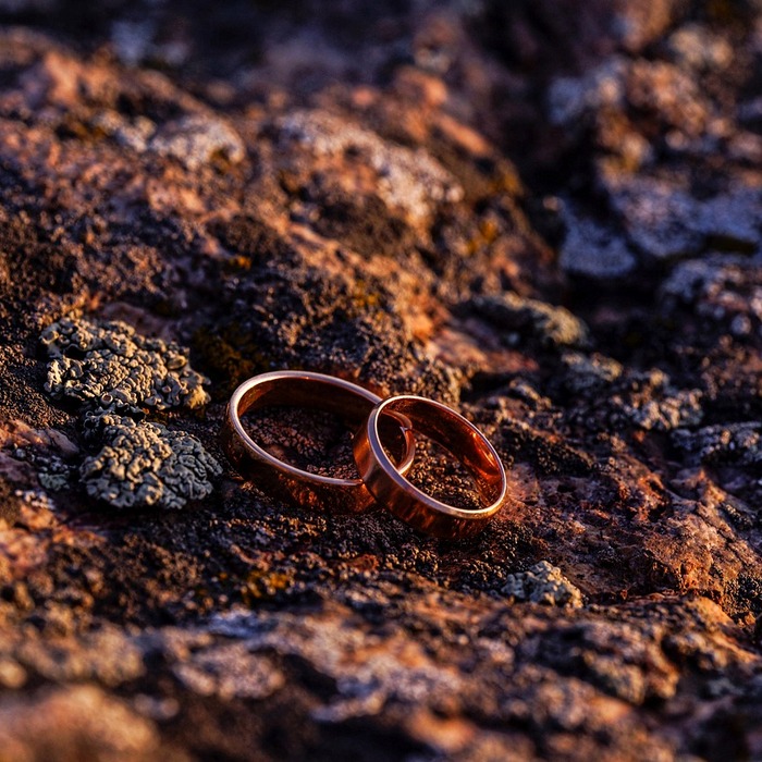 가족 영화 관람