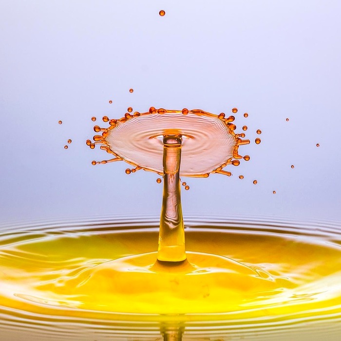 인감증명서 특징