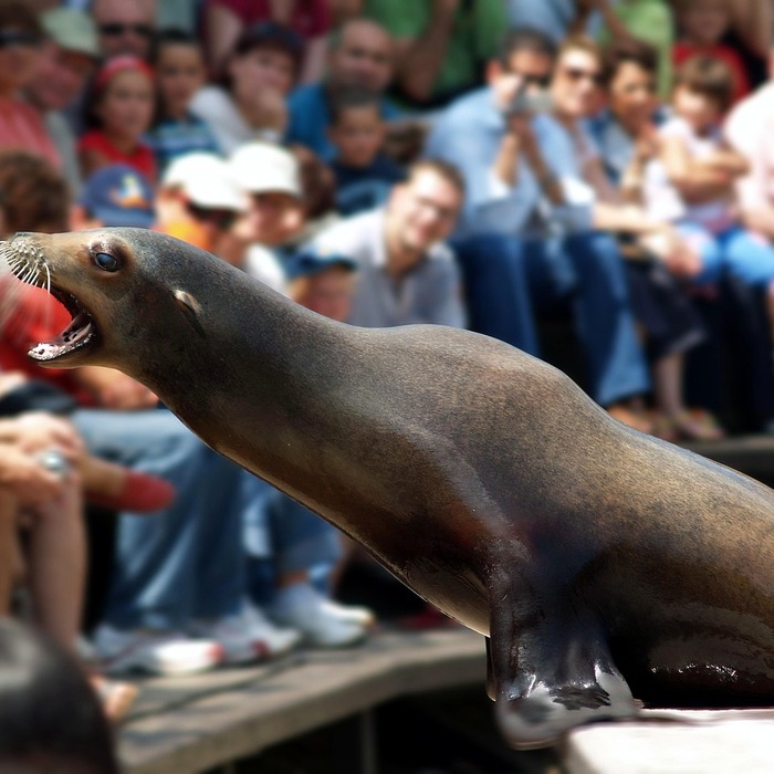 개인 인감 등록