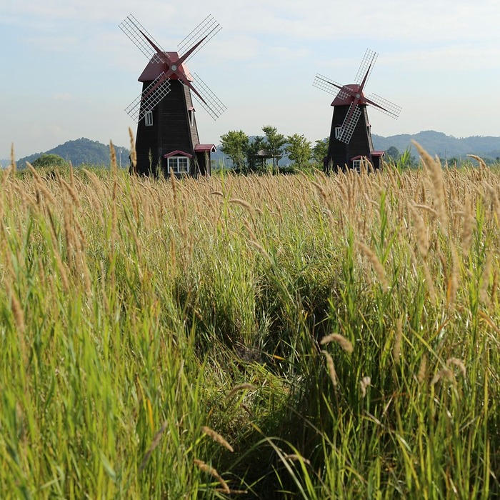 문암생태공원 풍경