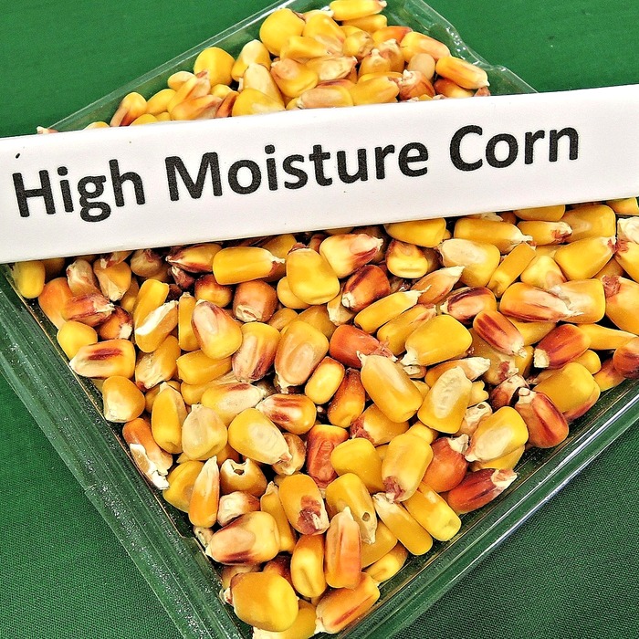 기호성 높은 사료