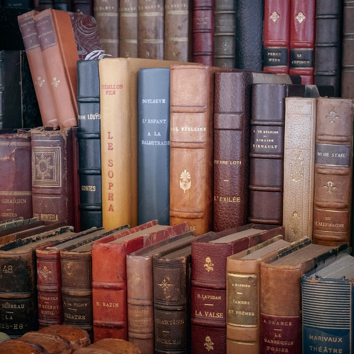 고전 문학 장르