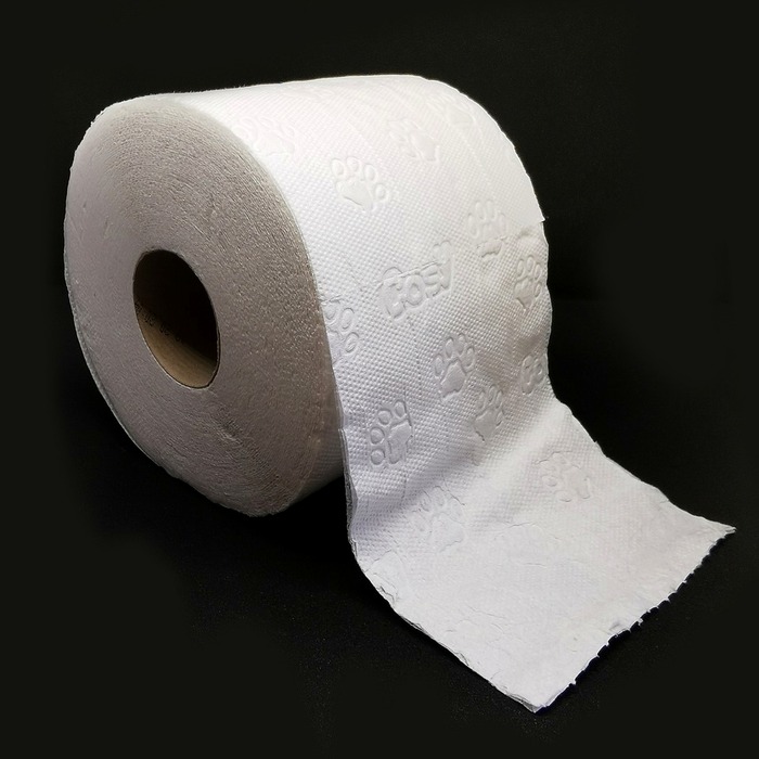 여성호르몬 역할