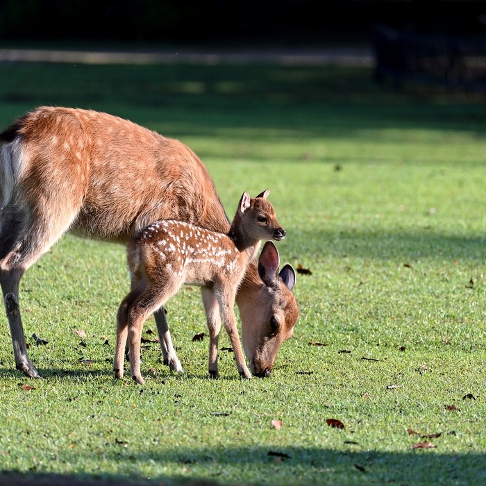 부모와 자녀 시간