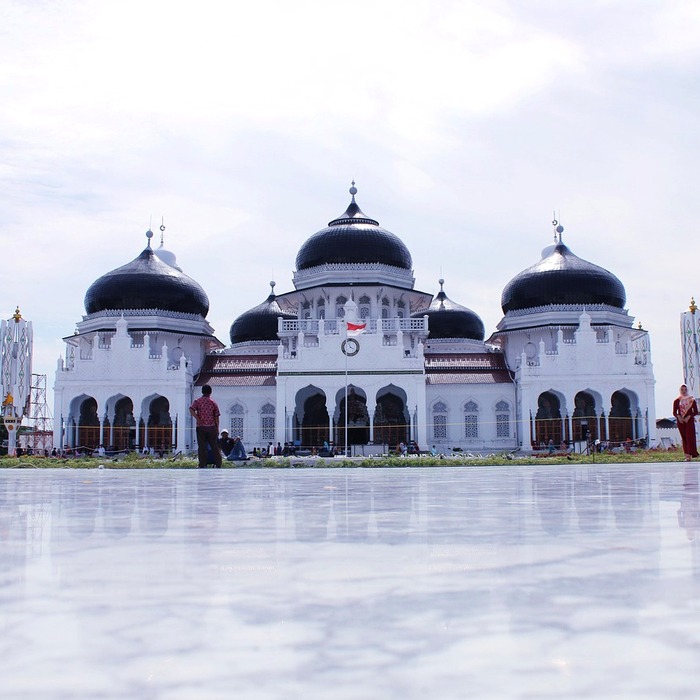 자가진단 서비스