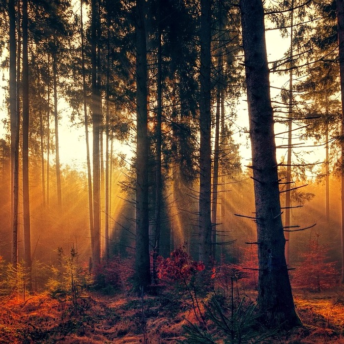 가을 아침 풍경