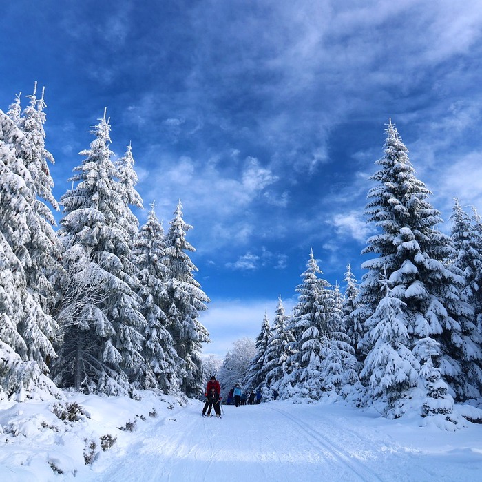 눈 속 가족 활동