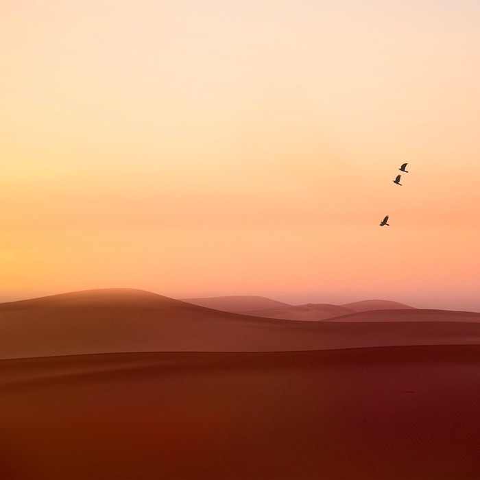 벤토나이트 모래