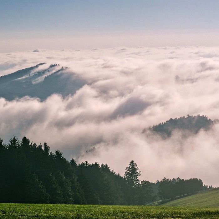 바다 전망 카페
