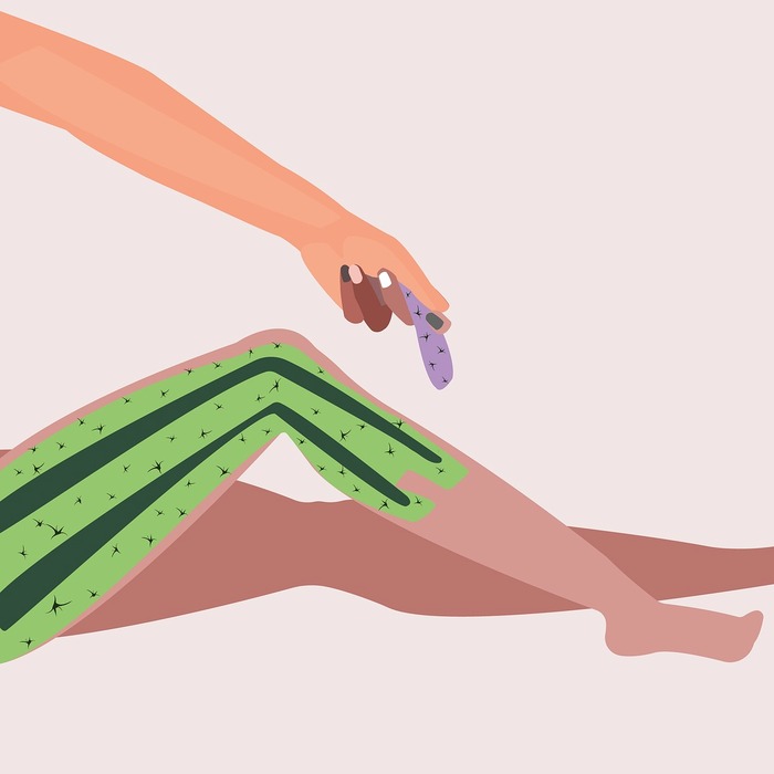 중년 탈모 원인