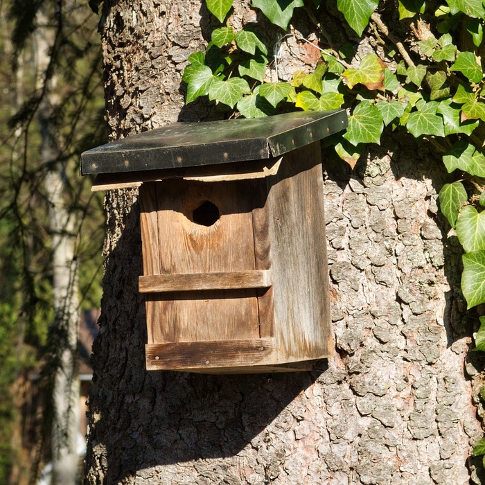 중첩 원리 설명