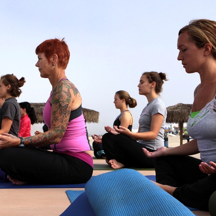 하타 요가 자세