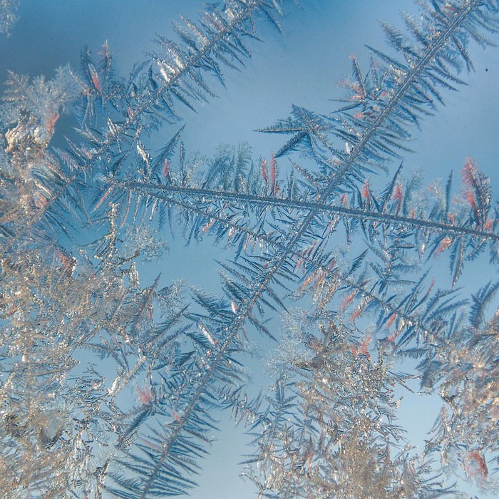 환급금 결정 요인