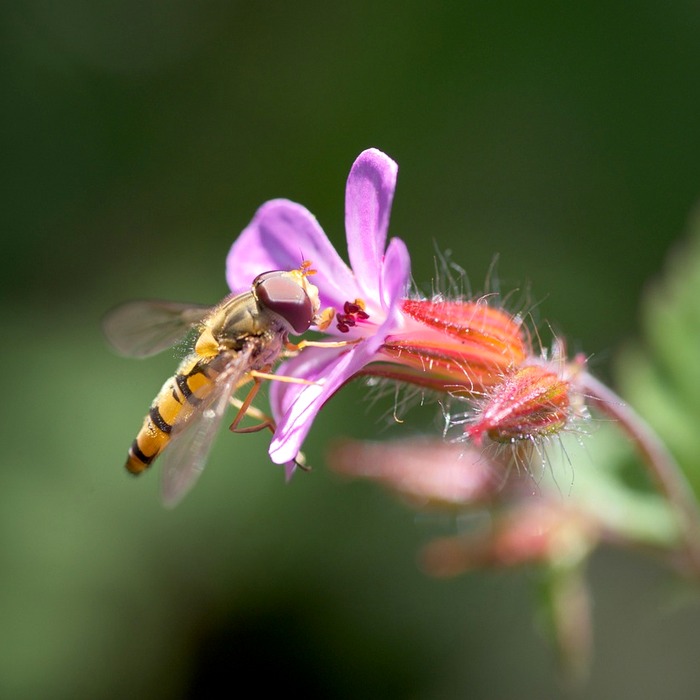 진보 진영 단일화