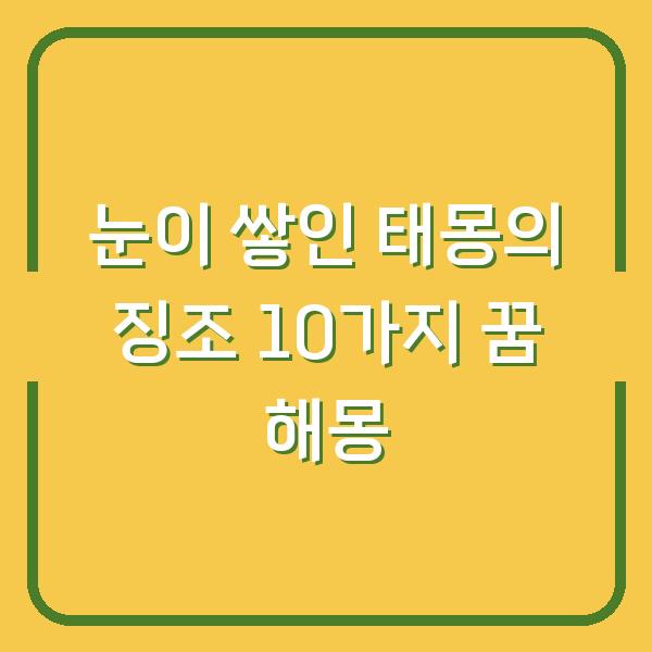 눈이 쌓인 태몽의 징조 10가지 꿈 해몽