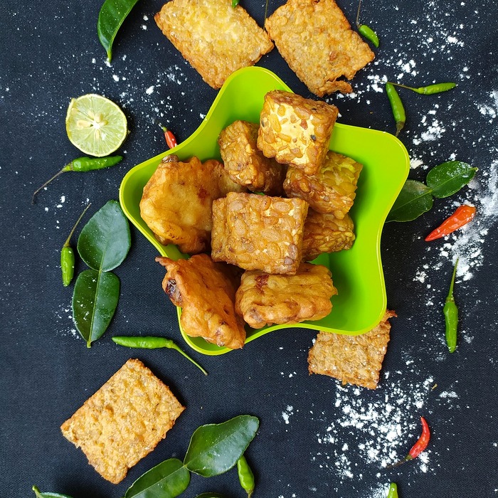 기온 조건