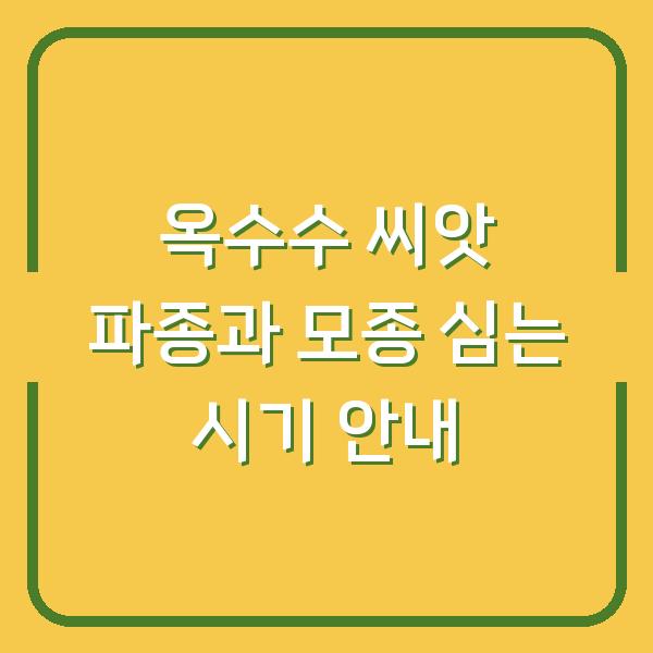 옥수수 씨앗 파종과 모종 심는 시기 안내