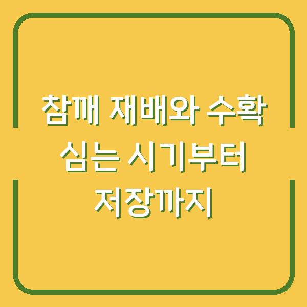 참깨 재배와 수확 심는 시기부터 저장까지