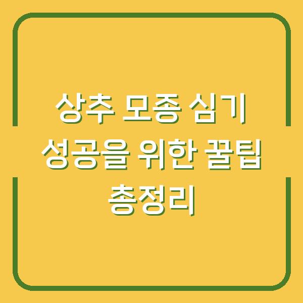 상추 모종 심기 성공을 위한 꿀팁 총정리