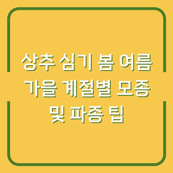 상추 심기 봄 여름 가을 계절별 모종 및 파종 팁