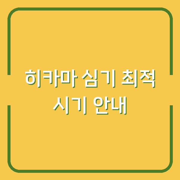 히카마 심기 최적 시기 안내
