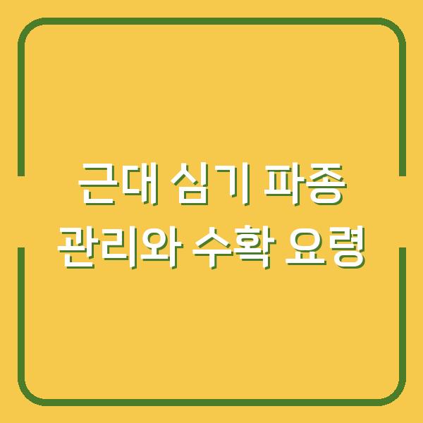 근대 심기 파종 관리와 수확 요령