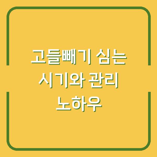 고들빼기 심는 시기와 관리 노하우