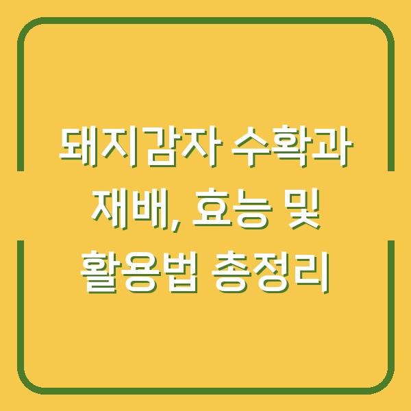 돼지감자 수확과 재배, 효능 및 활용법 총정리