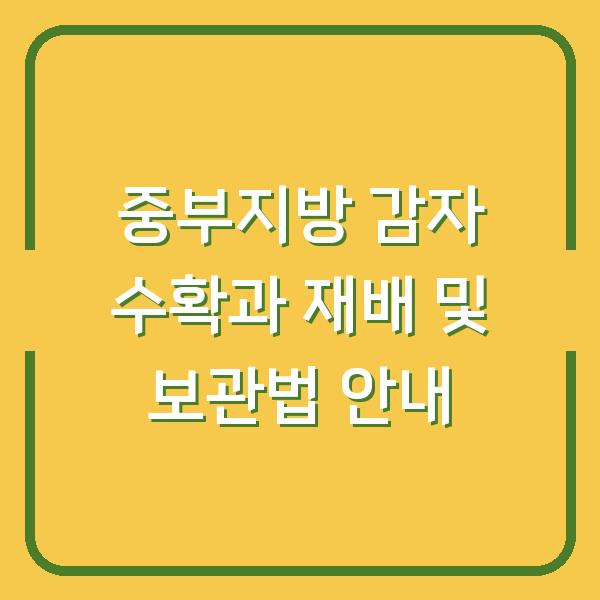 중부지방 감자 수확과 재배 및 보관법 안내