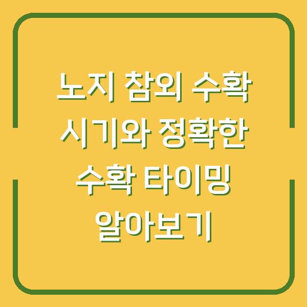 노지 참외 수확 시기와 정확한 수확 타이밍 알아보기