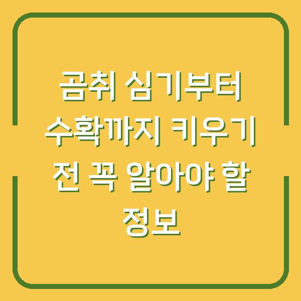 곰취 심기부터 수확까지 키우기 전 꼭 알아야 할 정보