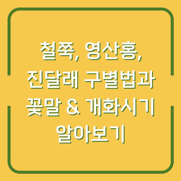 철쭉, 영산홍, 진달래 구별법과 꽃말 & 개화시기 알아보기