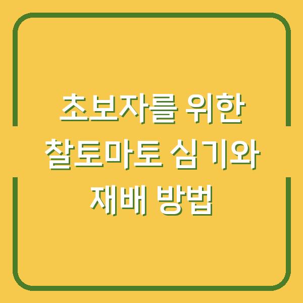 초보자를 위한 찰토마토 심기와 재배 방법