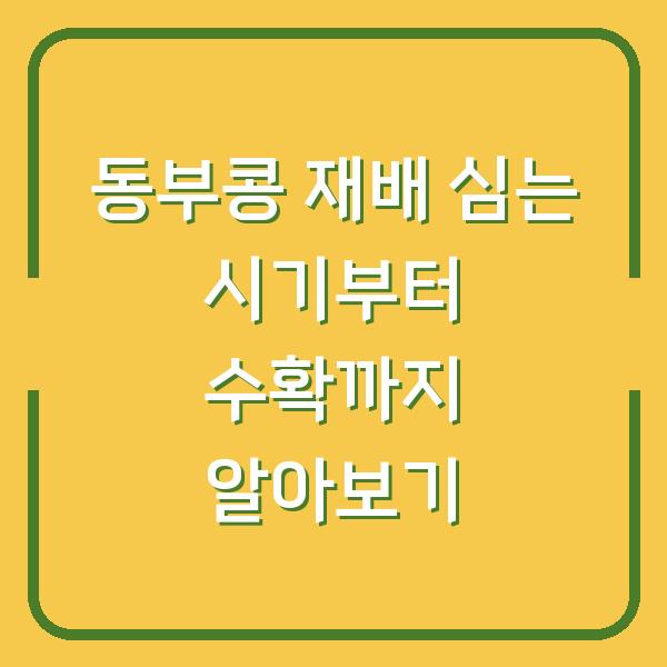 동부콩 재배 심는 시기부터 수확까지 알아보기
