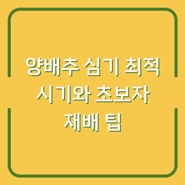 양배추 심기 최적 시기와 초보자 재배 팁