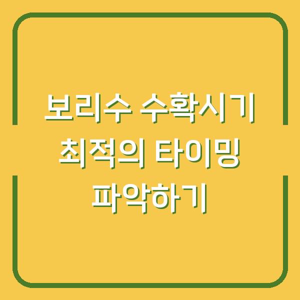 보리수 수확시기 최적의 타이밍 파악하기
