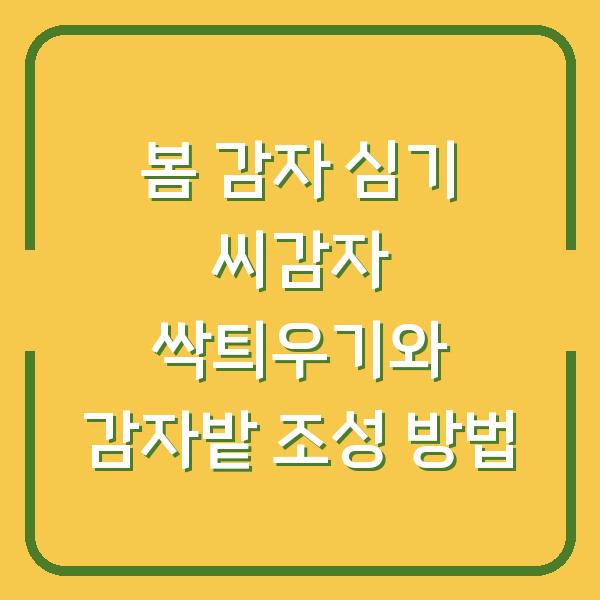 봄 감자 심기 씨감자 싹틔우기와 감자밭 조성 방법