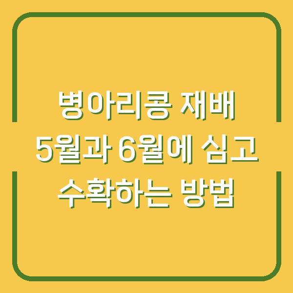 병아리콩 재배 5월과 6월에 심고 수확하는 방법