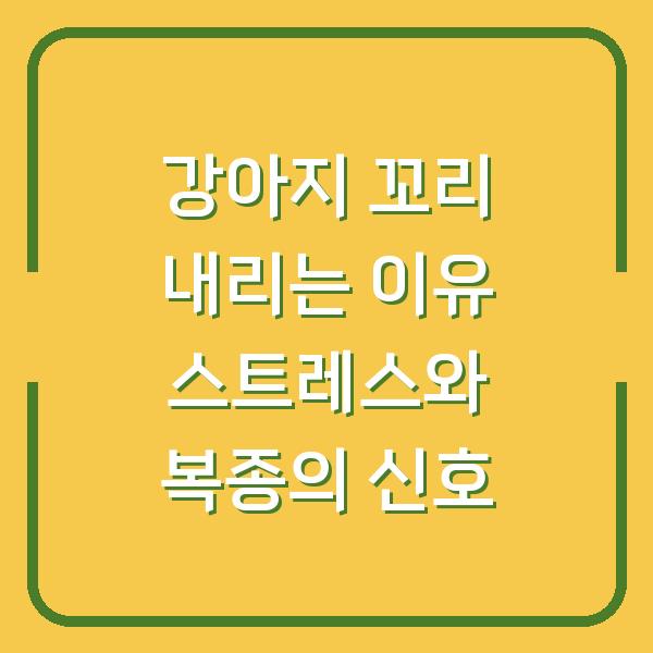 강아지 꼬리 내리는 이유 스트레스와 복종의 신호