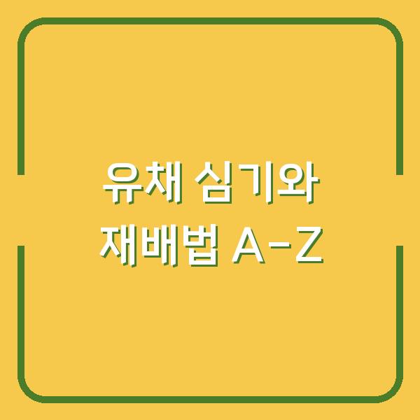 유채 심기와 재배법 A-Z