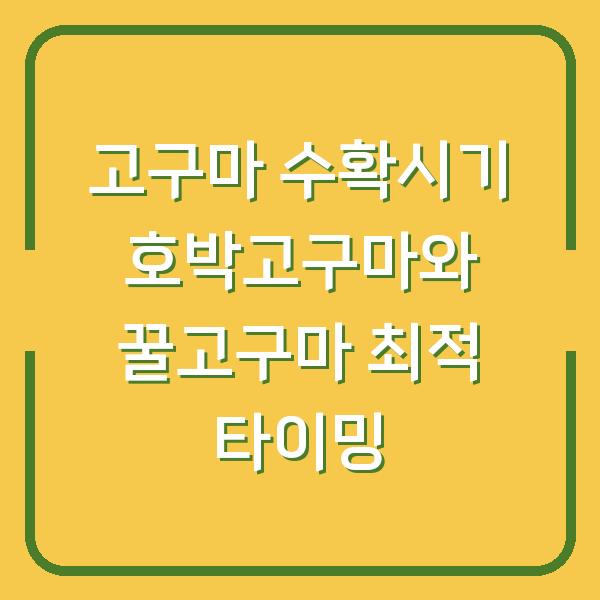 고구마 수확시기 호박고구마와 꿀고구마 최적 타이밍