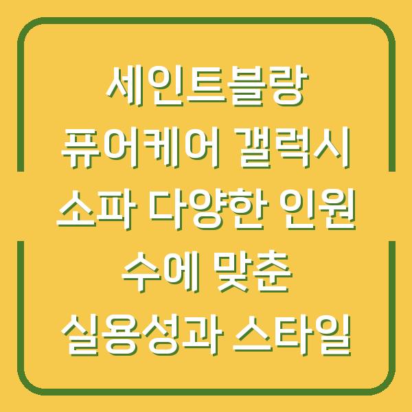 세인트블랑 퓨어케어 갤럭시 소파 다양한 인원 수에 맞춘 실용성과 스타일