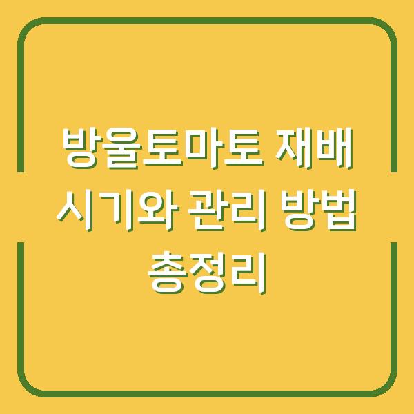 방울토마토 재배 시기와 관리 방법 총정리